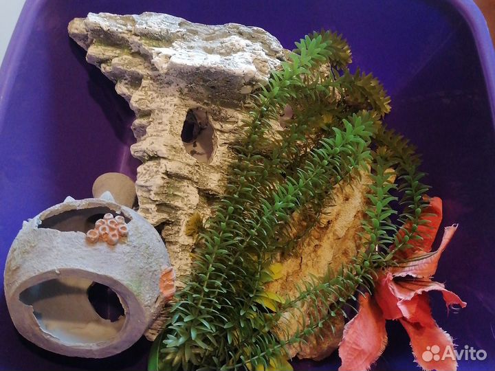 Аквариум с рыбками