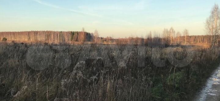 Участок 50 сот. (СНТ, ДНП)