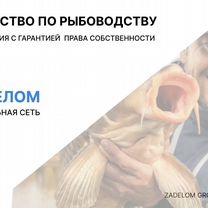 Агентство по рыбоводству в городе, Умм-Каср