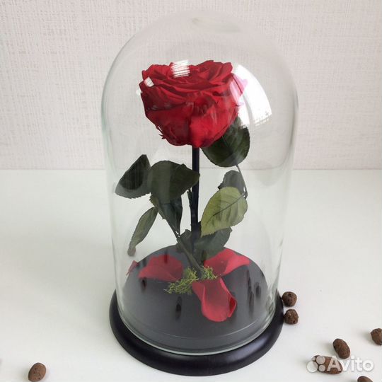 Роза в колбе Premium качества от производителя