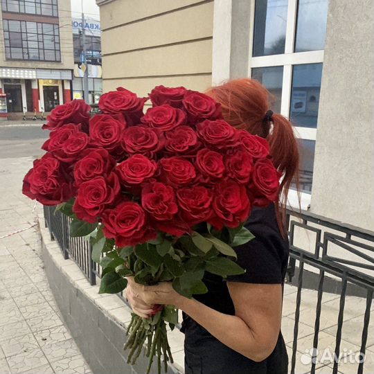 Розы сортовые Эквадор