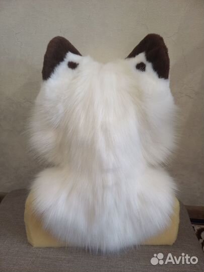 Фурсьют кота