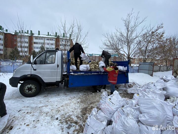 Вывоз мусора самосвал