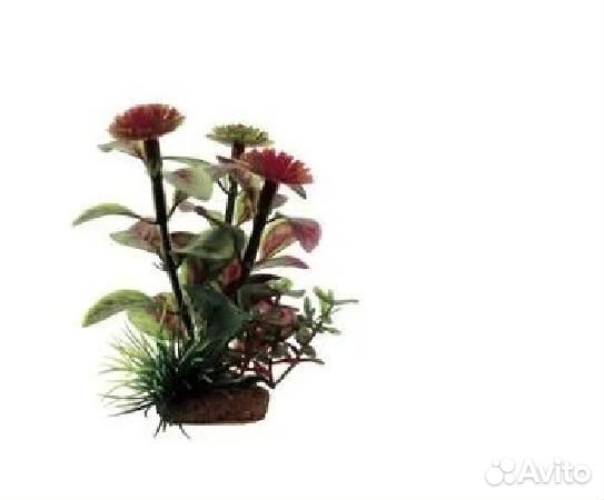 Растение Гигрофила красно-зелёная пластик 30см