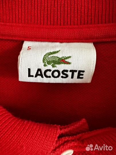 Lacoste Polo M/L