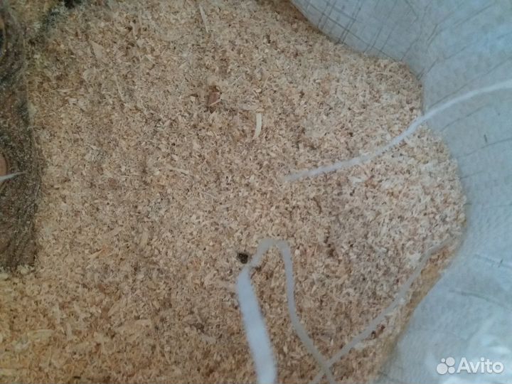 Опилки в мешках