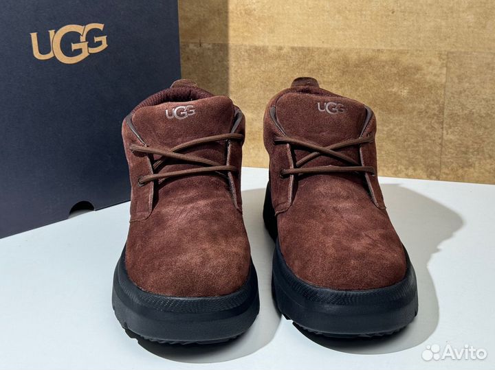 Ugg Mens Burleigh Chukka Dusty Cocoa