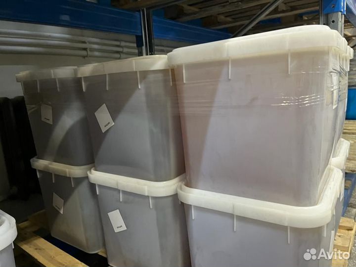 Мёд свежий оптом. Гречка, качка 2023г