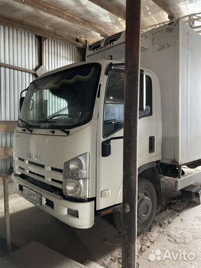 Isuzu ELF (N-series) изотермический, 2013