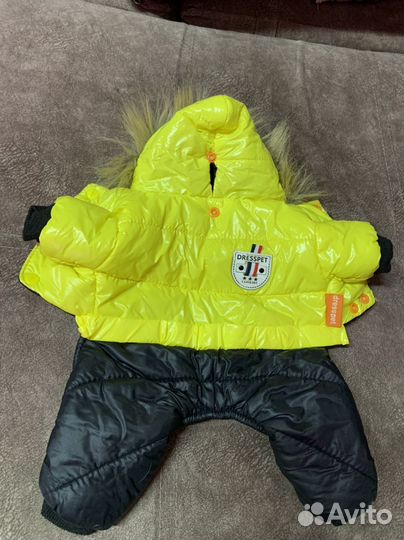 Одежда для собак