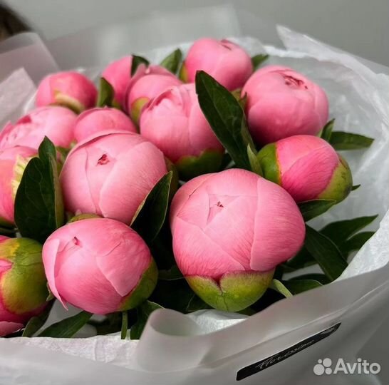 Пионы букет