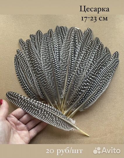 Перья цесарки декоративные для творчества