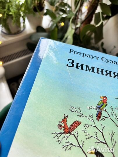 Сюзанна ротраут бернер Зимняя Книга