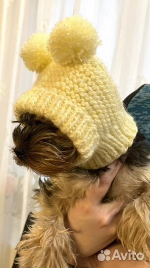 Одежда для собак мелких пород