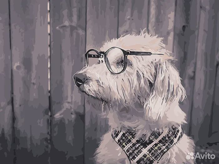 Картина по номерам новая