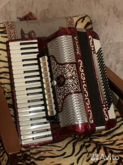 Аккордеон horch