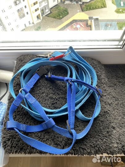 Игрушки для собак