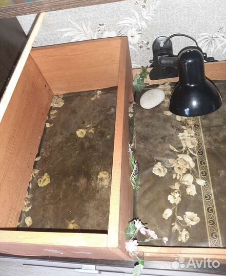 Террариум для сухопутной черепахи