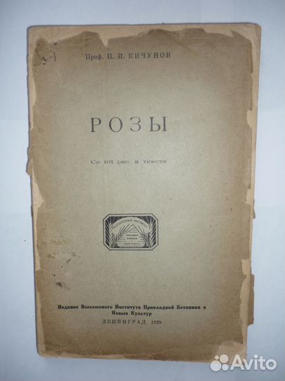 Кичунов Н.И. Розы 1929г