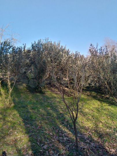 Участок 8 сот. (ИЖС)