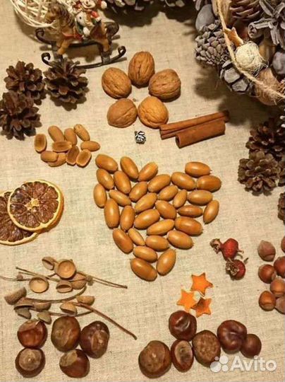 Набор природных материалов для поделок