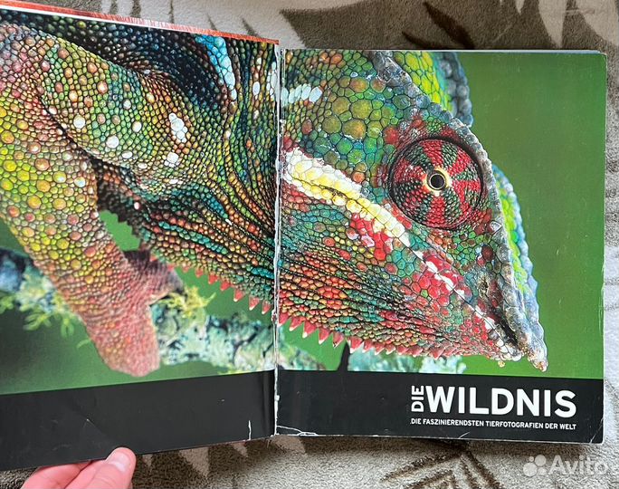 Книга на немецком языке Die Wildnis