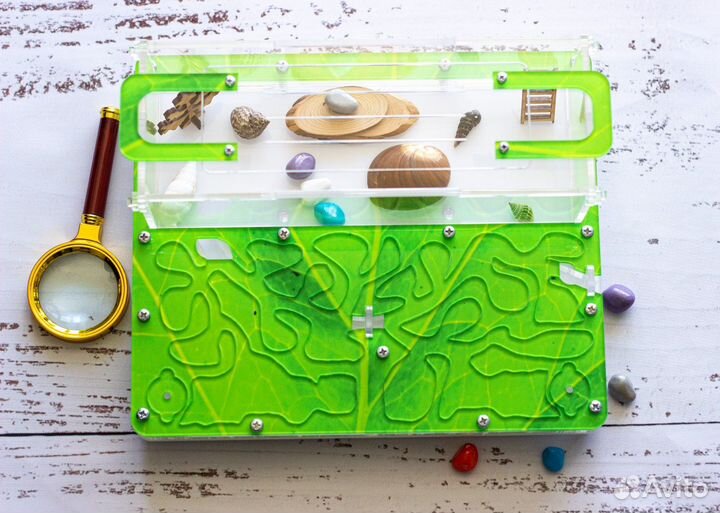 Муравьиная ферма Муравьи оптом и в розницу Корм