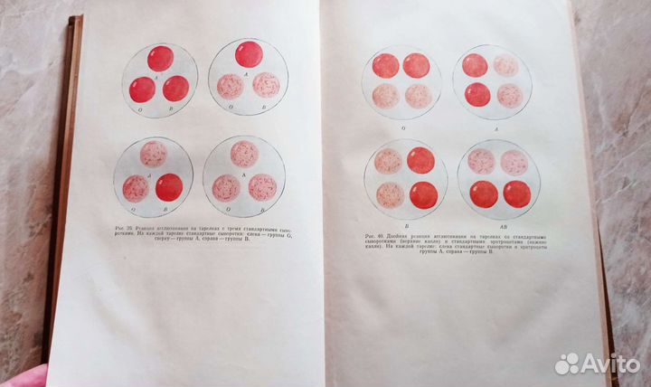 Общая хирургия