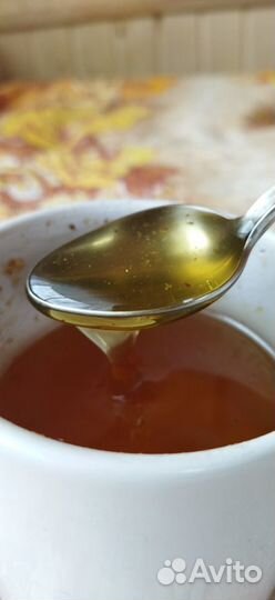 Донниковый мёд 2020, мёд разнотравье, гречишный