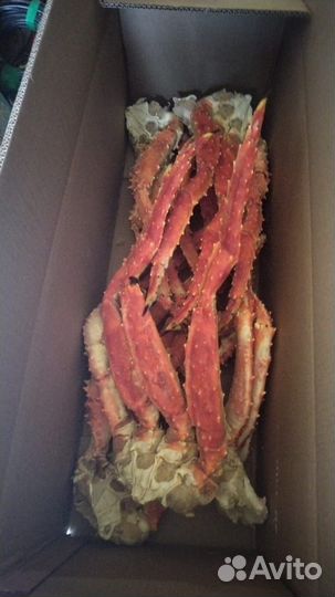 Клешни Камчатского краба