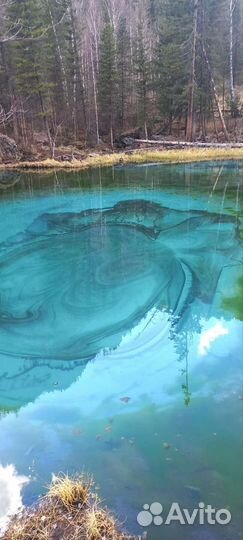 Однодневные экскурсии, туры по Горному Алтаю