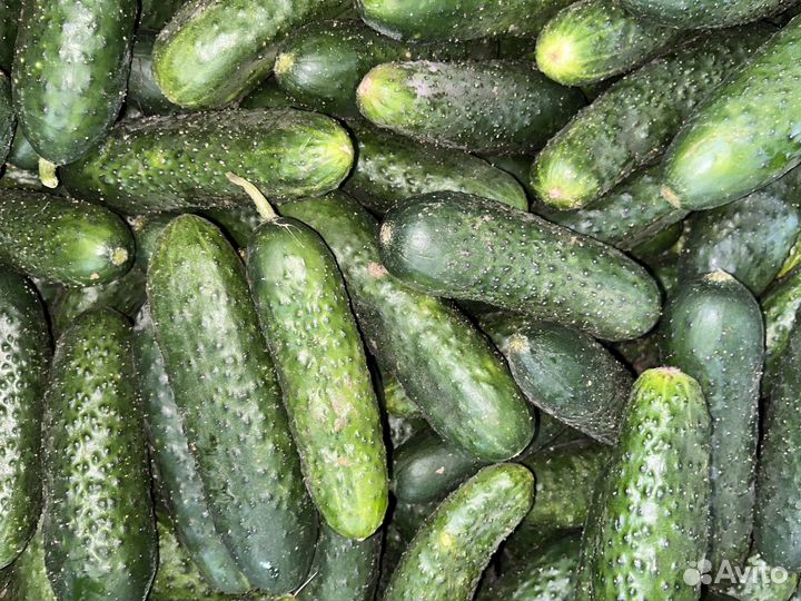 Продукты питания