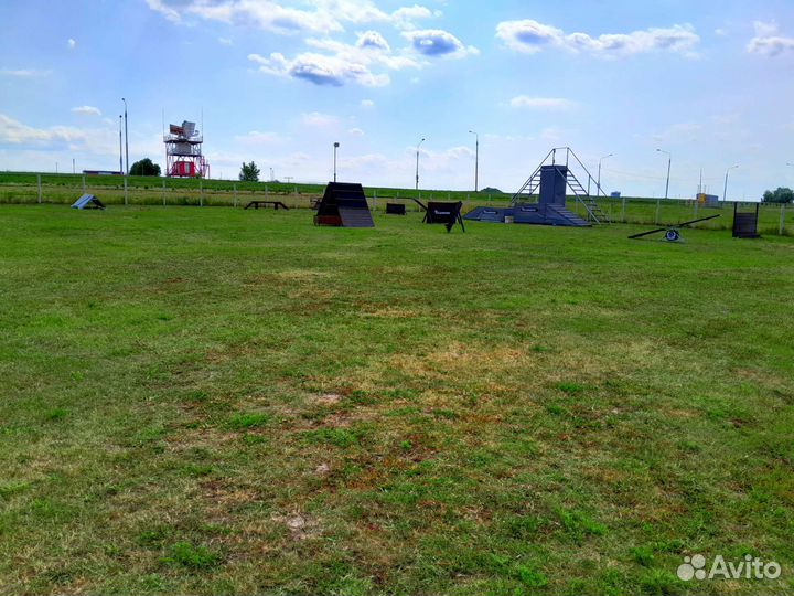 Кинолог, дрессировка собак