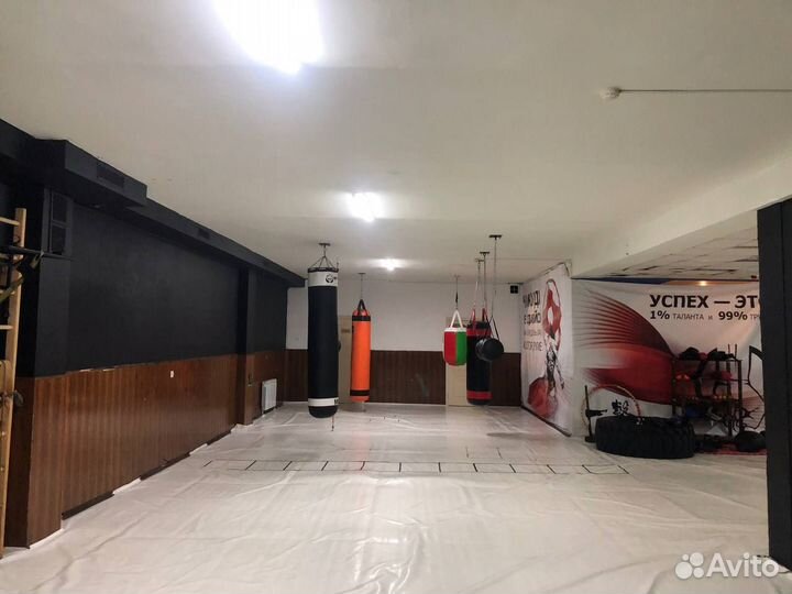 Тренировки по боксу, кикбоксингу, мма