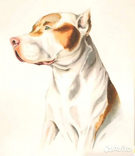 Бумага для спиртовых маркеров скетч А3 200 гр.м2