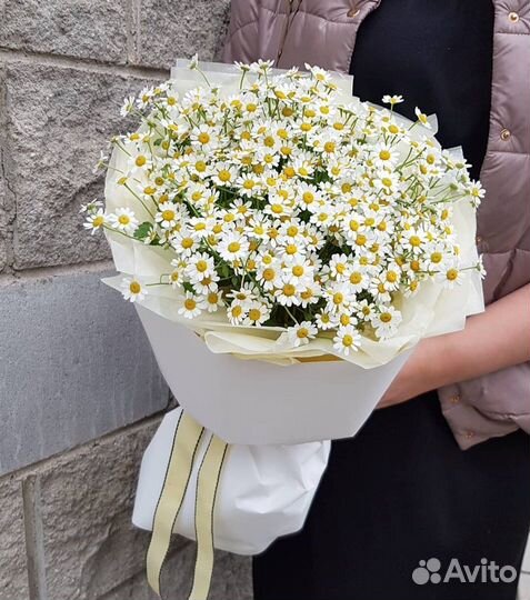 Ромашки с доставкой