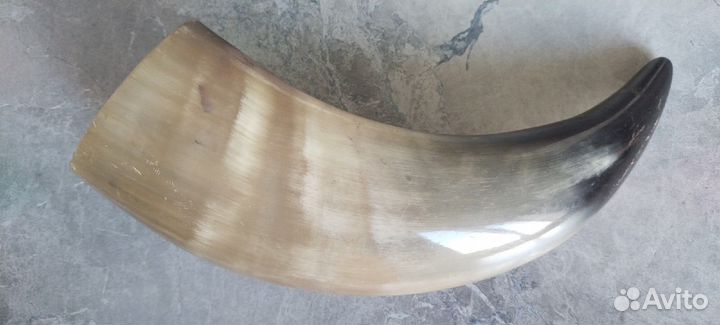 Коровьи рога