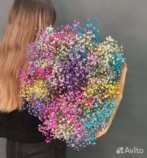 Гипсофила крашенная