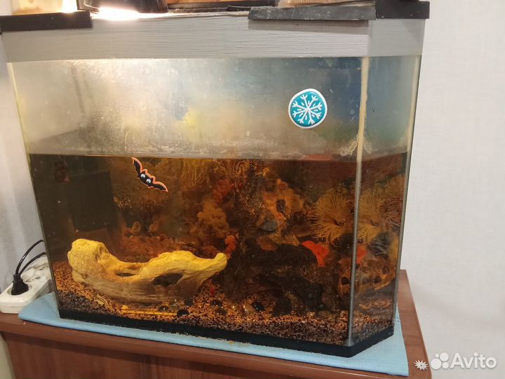 Аквариум
