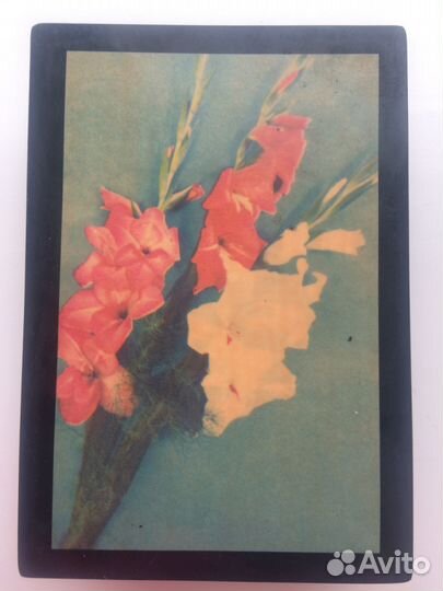 Шкатулка СССР карболит