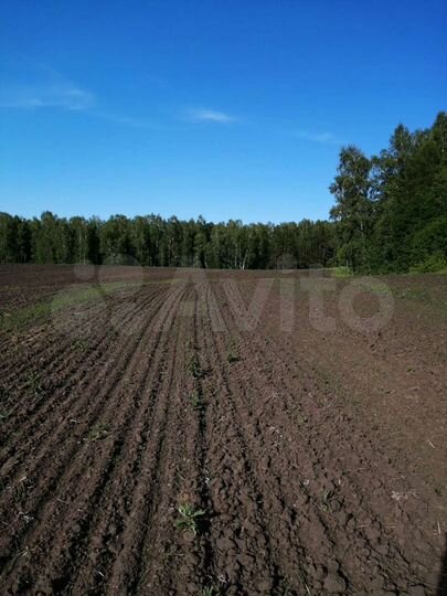 Участок 6,2 га (СНТ, ДНП)