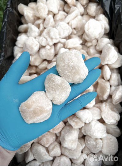 Оптом Гребешок