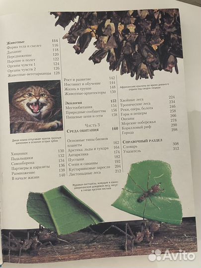 Энциклопедия живой природы