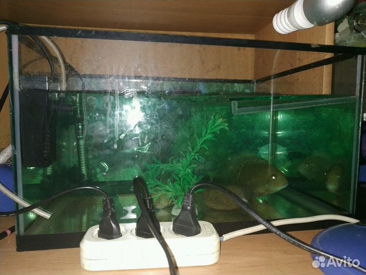 Аквариум 50 л