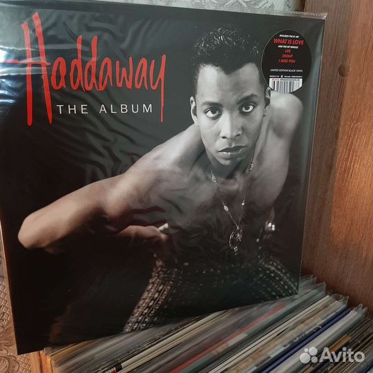 Haddaway - The Album (1993/2022)