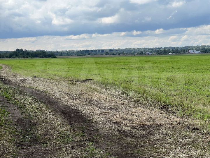 Участок 10 га (СНТ, ДНП)