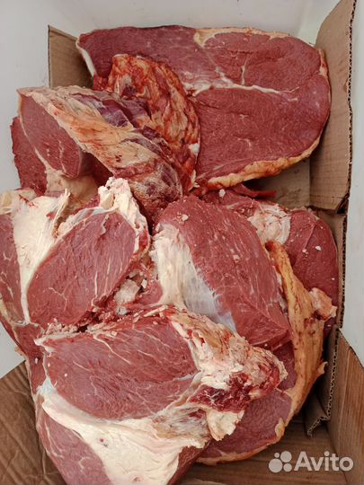 Продам мясо говядина.халяль