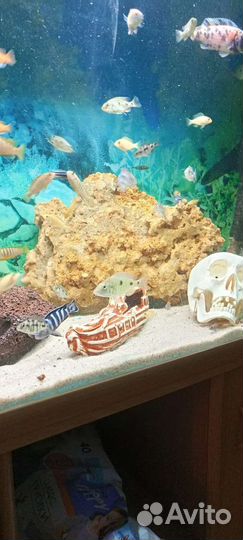 Декорация для аквариума, светильник