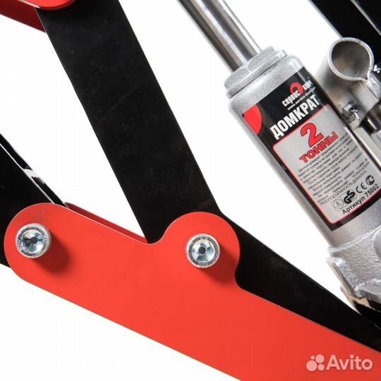 Мотохвост в Саратове