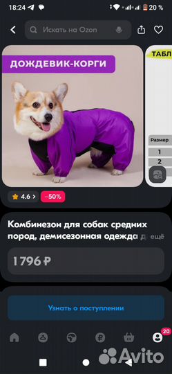 Комбинезон для вельш корги